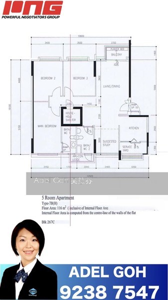 Blk 267C Punggol Field (Punggol), HDB 5 Rooms #154743922